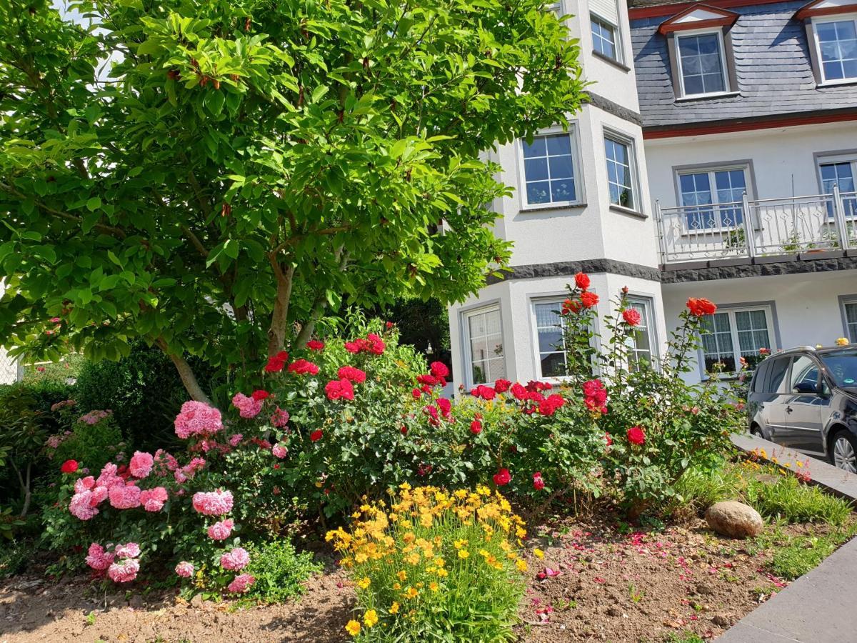 Ferienwohnung Thonnes Müden Exteriör bild